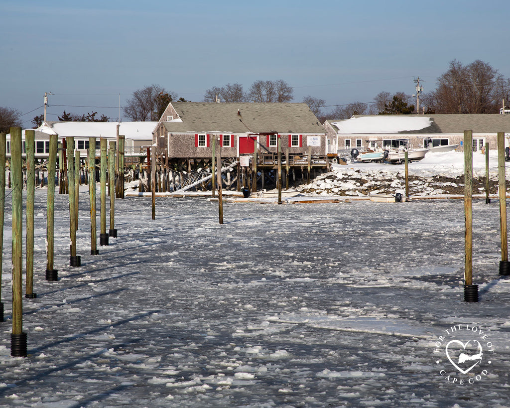 Current Cape View - Scenes from January/February 2026