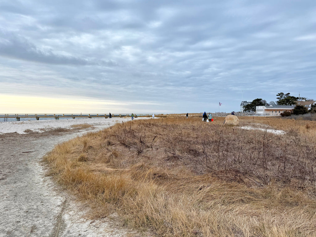 Cape Heartbeat: A Winter Morning of Giving Back at Eugenia Fortes Beach