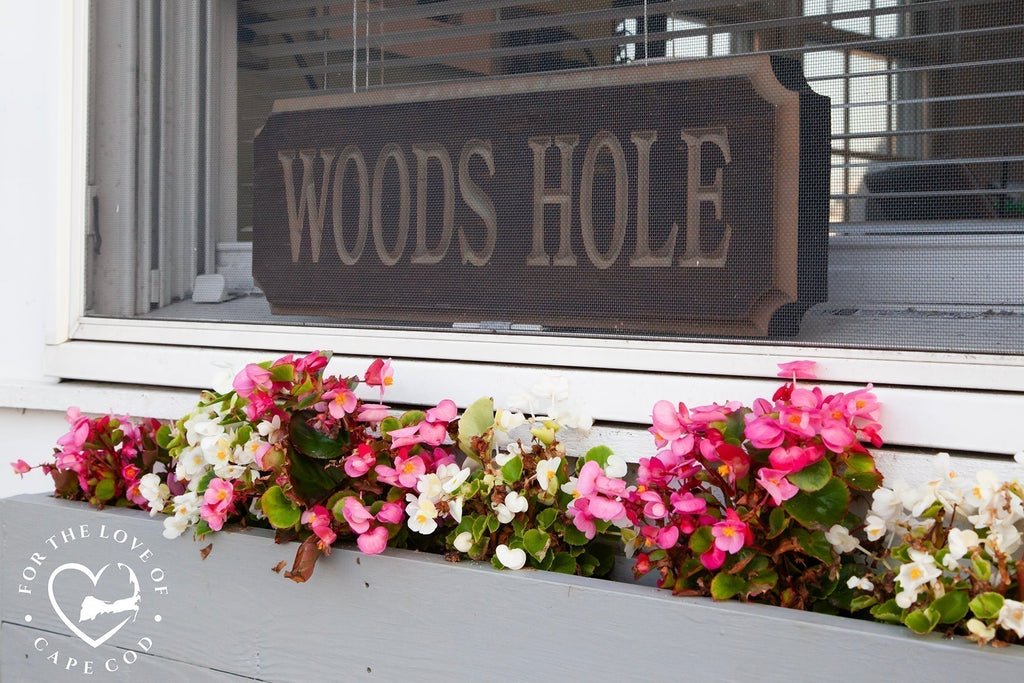Your Cape Escape - Woods Hole